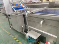 Fruit En Groente Reiniger Machine Tomaat Fruit Wasmachine