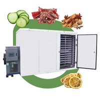 Industriële Knoflook Gember Fruit Groente Hout Ansjovis Gezouten Sardine Vis Hetelucht Warmtepomp Droger Droogmachine En Oven