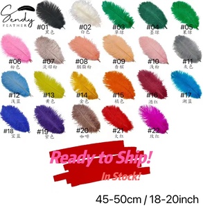 65-70cm pennacchio di struzzo bianco grandi <span class=keywords><strong>piume</strong></span> Decorative <span class=keywords><strong>piume</strong></span> di struzzo SA di alta qualità per la decorazione di carnevale del vaso della casa del Festival - Product Image 6