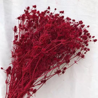 Direct van de fabriek: 15 geconserveerde bloemenkoppen, liefdesvruchten, Valentijnsbloemen voor thuisdecoratie