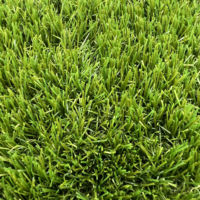 Rumput HANWEI, Tahan Lama Ekstra Tebal Premium Rumput Buatan Grama Roll Sintticos Tinggi Gulungan 60Mm Dtex16000 6 Warna