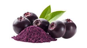 Ulk Factory Supply Powdered Herbal Plant Extract <b>Acai</b> Berry Extract Powder 99% <b>Pure</b> Natural Food Grade Plastic Container Drum - Product Image 6