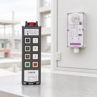 Control Remoto Industrial Inalámbrico Personalizable de 6 Botones y Una Sola Velocidad, Antiinterferencias, para Grúa