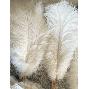 Plumas de avestruz teñidas en blanco y morado de 40-45cm al por mayor, plumas de avestruz a granel para decoración de centro de mesa o lámpara - Product Image 5