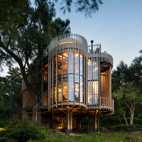 Nouvelles maisons au design moderne, bâtiments de forme spéciale, villa, service d'équipe professionnelle, villa de luxe à ossature en acier