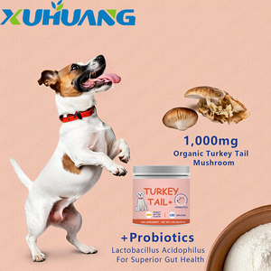 Suplemento Probiótico Natural com Suporte OEM: Pó de Cogumelo Turkey Tail e Lactobacillus <span class=keywords><strong>Acidophilus</strong></span> para Cães - Energia e Digestão - Product Image 3