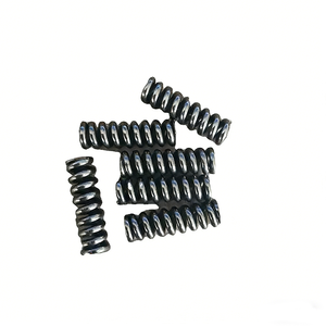 ディーゼル燃料エンジンポンプ部品 燃料噴射ノズルスペーサースプリング 2434619040 2 434 619 040 - Product Image 2