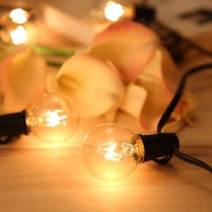 IP44 G40 LEDグローブ電球ウォームホワイト防水ハンギングストリングライトホリデーデコレーション用 - Product Image 6