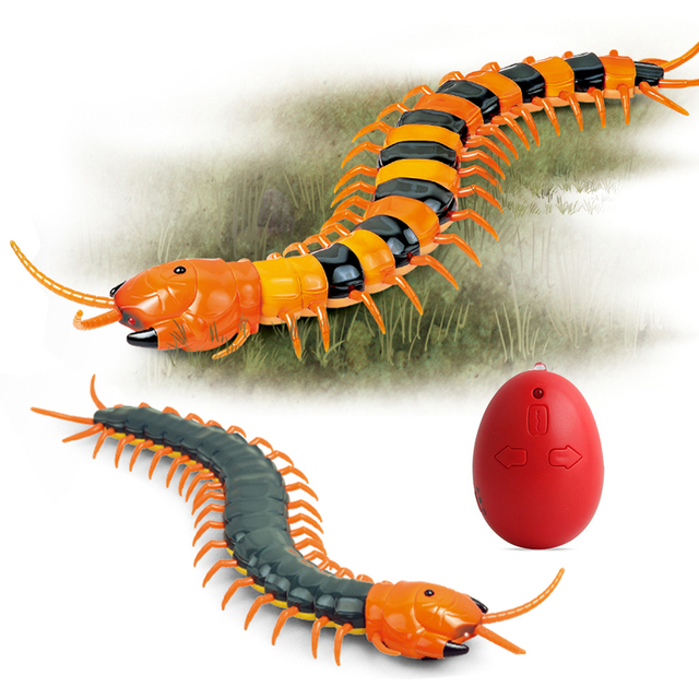 Cat Interactive Realistic Animals Moving Crawling Plastic Centipede Cheapest Toys for Children Rc Wholesale