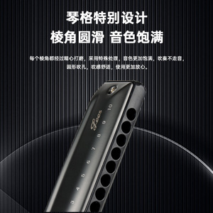 Armónica Diatónica Feifan de 10 Orificios en Do Mayor para Estudiantes - Product Image 5