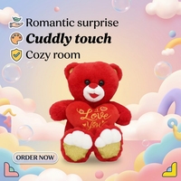 Anoeo Nouvelle Arrivée Couette en Peluche Personnalisée Brodée et Estampillée Or, Motif Cœur Mignon, Rembourrée en Coton PP, pour la Saint-Valentin
