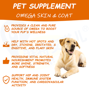 Aceite de pescado Omega <span class=keywords><strong>3</strong></span> golosinas para perros Nutrición Omega Soft Chews Treat para perros Piel y abrigo con aceite de salmón suplementos para mascotas - Product Image 3