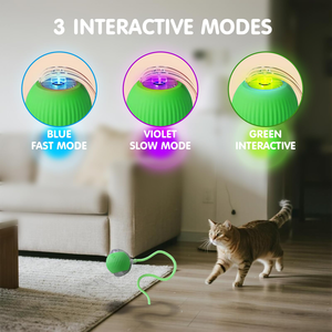 <b>Cat</b> <b>Interactive</b> Ball <b>Toys</b> Automatic Rolling Ball Faux Tail Rechargeable Smart Pet Electric Dog <b>Cat</b> Training <b>Toy</b> - Product Image 5