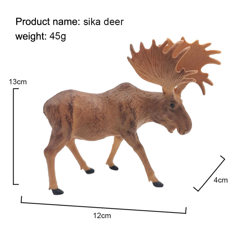 sika deer