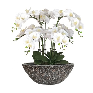 Jardinières de grande taille en pierre à effet terrazzo, brossées à la main, pour plantes d'extérieur et d'intérieur - Product Image 1