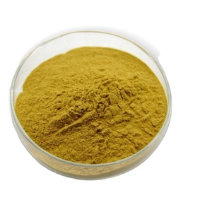 공장 직접 공급 방광 추출물 분말 Fucus Vesiculosus 추출물 프리미엄 식물 추출물 - Product Image 1