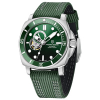 Montres mécaniques automatiques PAGANI DESIGN 1736 PD1736 pour hommes, nouvelles, avec aiguilles lumineuses, étanches, bracelet en nylon, montre-bracelet Reloj