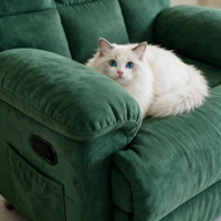 Fauteuil inclinable manuel extensible en velours, idéal pour la détente, canapé une place pour salon, mobilier adapté aux personnes âgées
