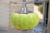 Automatische Wax Kalebas Meloen Pompoen Ananas Kokos Schilmachine Fruit Dunschiller Machine