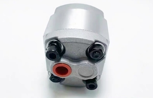 Cbkp 323218 <span class=keywords><strong>BF</strong></span> XL CBKA-F4.2F CBHZG-G-F30-AL cbkp1006350 CBKP1005040-BFP thủy lực bơm bánh răng CBK-F2.1 CB-KPR-808040-B1F1J - Product Image 4