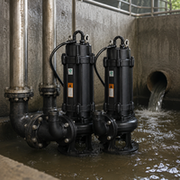 Pompe submersible à double canal en acier inoxydable et fonte, haute performance, pour drainage des eaux usées industrielles en usine, OEM