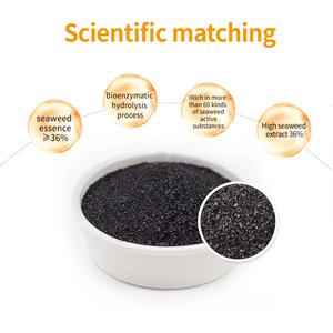 100% oplosbaar zeewierextractpoeder met sporenelementen, ideaal voor bladsproeien op sla en boerenkool - Product Image 2