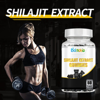 Service OEM Lifecare Biotech : Gummies à l'extrait de Shilajit, complément vitaminique sain