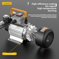 Pompe à huile électrique 12V/24V/220V, centrifuge auto-amorçante à haut débit en fer, distributeur de carburant, pompe à carburant diesel mobile pneumatique