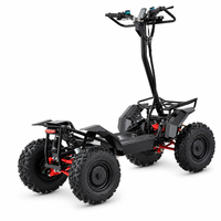 Scooter électrique tout-terrain CE 4x4 4000W pliable avec batterie amovible et siège