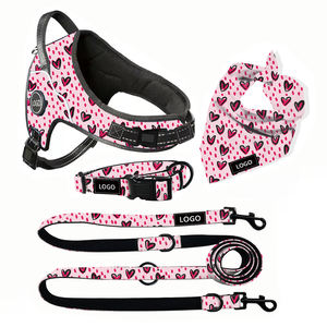 Roupa para Cães OEM Suprimentos para Animais de Estimação com Logo da Marca Personalizado Impresso Roupas de Luxo Fofas para Cães Camiseta para Filhotes - Product Image 3