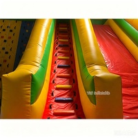 Structure gonflable commerciale ludique pour enfants, mur d'escalade et toboggan combinés, pour aire de jeux extérieure et sports extrêmes