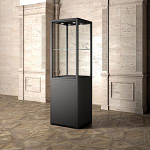 Vitrina de Exhibición para Museo, 60x60x200cm, Vidrio Negro con Iluminación LED para Exhibiciones - Product Image 3