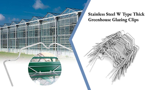 Greenhouse <strong>Spring</strong> Wire Stainless Steel W <strong>Clips</strong> <strong>Spring</strong> <strong>for</strong> Glazing Glass <strong>Frame</strong> Fixing - Product Image 6