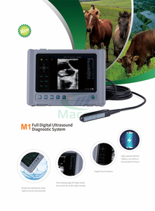 Nouvel échographe vétérinaire portable à écran tactile de 8 pouces, <span class=keywords><strong>prix</strong></span> compétitif, mesure obstétricale et cardiaque - Product Image 2
