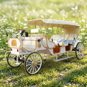 Véhicule Électrique Royal de Mariage à Huit Places, Type Princesse, Sans Chevaux, Direct Usine - Product Image 1