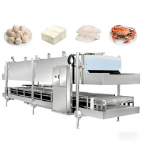Congelador de Túnel de Nitrógeno Líquido en Oferta con Control Automático y Fácil Operación para Aves de Corral, Alimentos Cocinados y Comidas Preparadas
