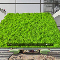 Jardinière de Bonsaï pour Fenêtre d'Intérieur avec Mousse Artificielle Mur de Plante Tambour en Plastique Pelouse pour Cultiver Herbe Fenêtre Feuillage