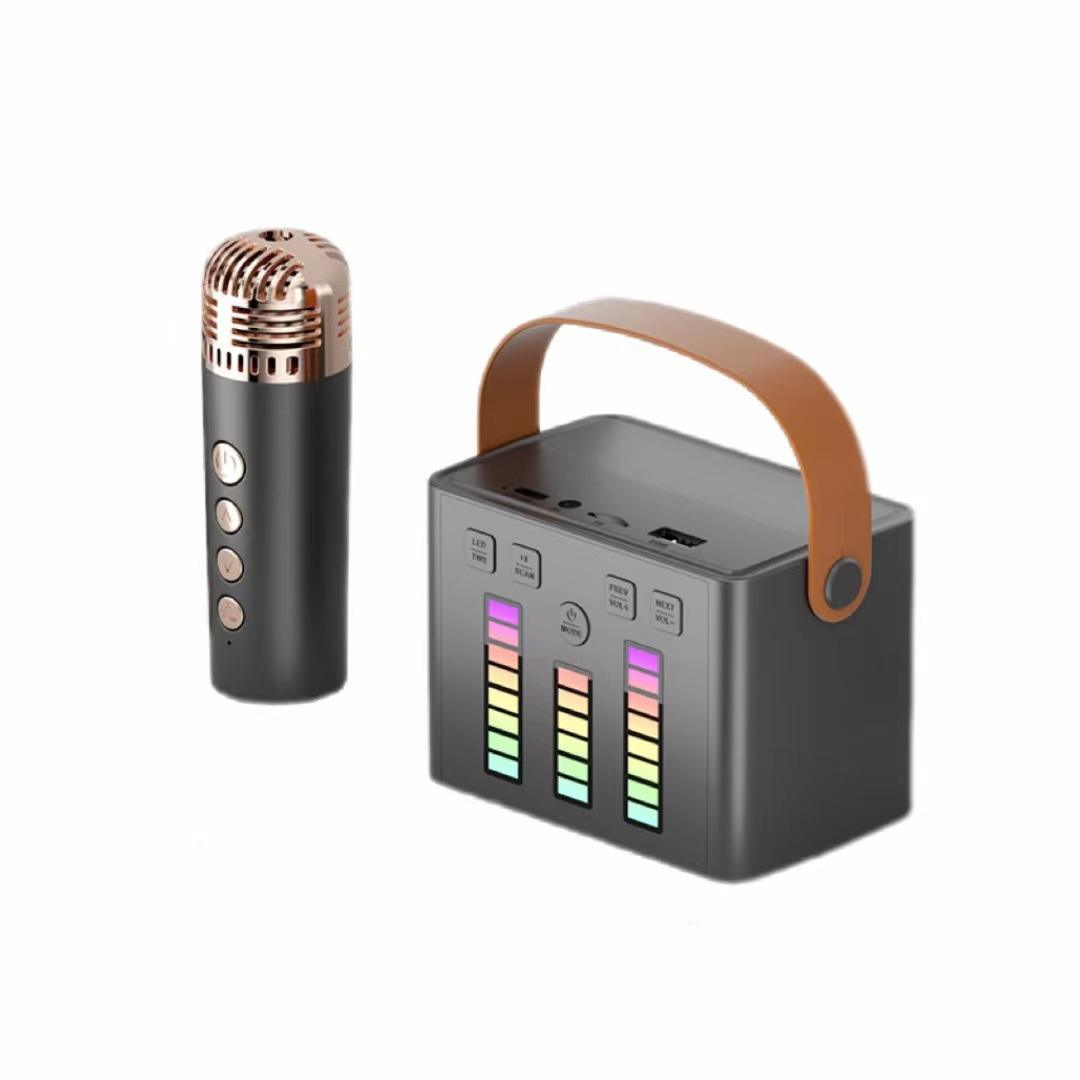 Haut-parleur Q-2 avec microphone unique noir