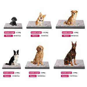 OEM ODM Double-Sided <b>Waterproof</b> Memory <b>Foam</b> Orthopedic Dog Bed Removable Washable Cover Flannel Large Flat Pet Mattress Soft Plu - Product Image 2