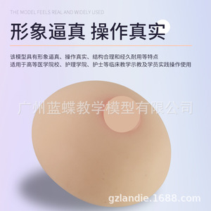 Formation des conseillères en lactation : seins artificiels médicaux en silicone souple, écoles professionnelles de services domestiques, hôpitaux - Product Image 4