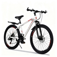 Vélo/Montain Bike Original 2025 de Haute Qualité en Promotion Directe Usine à Bon Prix