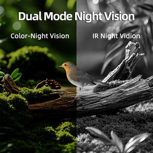 Hibirds APP 4MP Mangiatoia per uccelli Telecamera a batteria solare con intelligenza artificiale che identifica gli uccelli Capa - Product Image 4