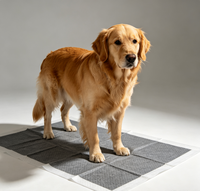 Almohadillas de Entrenamiento para Cachorros Súper Absorbentes con Control de Olores, Almohadillas de Carbón para Mascotas con Adhesivo Antideslizante