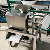 Fruitzaad En Pulp Scheidende Machine Fruitpulper Appel Mango Tomaat Druif Dadelpulper Pulper Pulpmachine