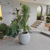 Pot Tanaman Fiberglass Abu-abu Besar Kekuatan Tinggi Desain Modern Indoor/Outdoor Kapasitas 10L Kemasan Karton 10 Pcs