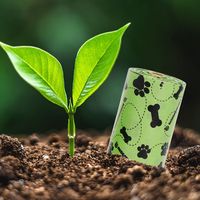 Sacs à déjections pour animaux de compagnie biodégradables et compostables EPI, écologiques, personnalisés, avec un nouveau design de dessin animé, pour petits animaux, vente en gros
