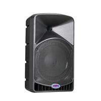 Altavoz PA Portátil Activo Profesional de 15 Pulgadas y 2 Vías con DSP, Woofer de 8 Ohmios y 200 W, Tweeter de 8 Ohmios y 90 W, Procesador de Sonido Digital