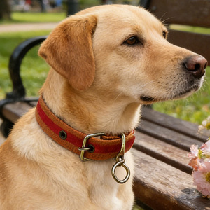 Suministros para mascotas al por mayor, collares para mascotas, collares para perros, collares ajustables para perros, correas para mascotas. - Product Image 1