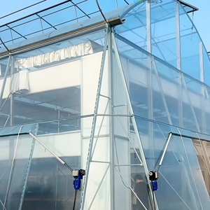 Serre commerciale à grande surface, monocouche, multi-travées, en film PE, avec système hydroponique pour la culture de la laitue, des épinards et du chou - Product Image 3