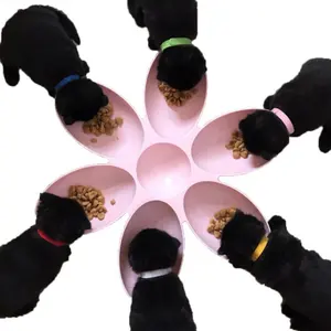 6 In 1 Voedingstoevoer Kleine Doggy Waterfles Anti Choke Hondenkom Puppy Kat Vertragen Dierenbakken Feeders